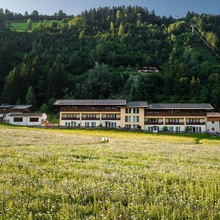 Apparthotel Alpenchalet Нойкирхен-ам-Гросфенедигер Экстерьер фото